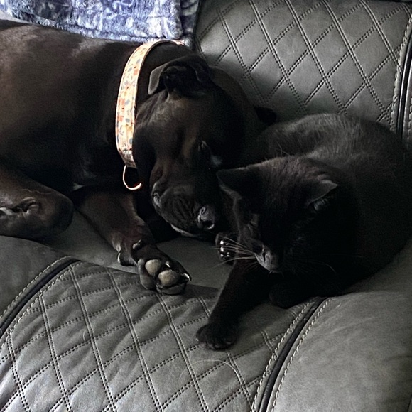 Meet the Posher Other - Meet your Posher, Melissa